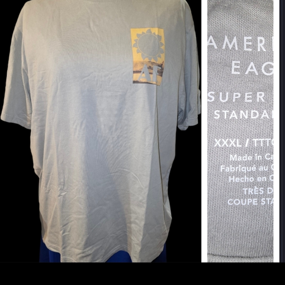 American Eagle Outfitters Light Gray Men's Tee